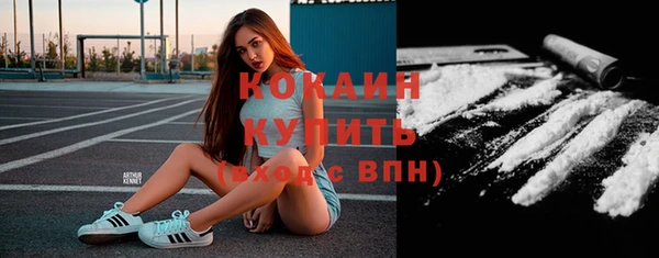 ГАЛЛЮЦИНОГЕННЫЕ ГРИБЫ Бородино
