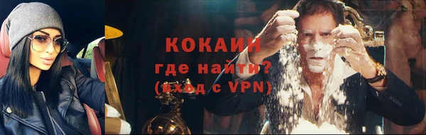 ГАЛЛЮЦИНОГЕННЫЕ ГРИБЫ Бородино