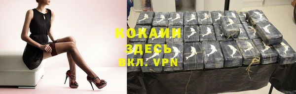 ГАЛЛЮЦИНОГЕННЫЕ ГРИБЫ Бородино