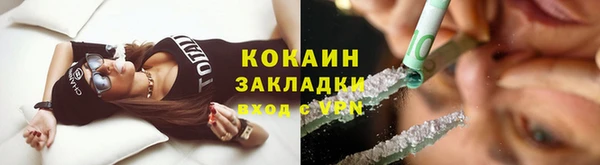 сатива Тайга