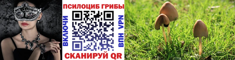 Псилоцибиновые грибы Magic Shrooms  Кировград 