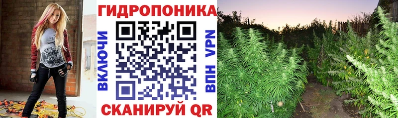 Бошки Шишки LSD WEED  blacksprut сайт  Кировград 